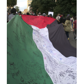 Gaza-Solidarity Protest in Montreal (July 30)