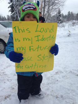 Algonquins of Barriere Lake Stop Unauthorized Forestry Operations On Their Territory Until Agreements Respected