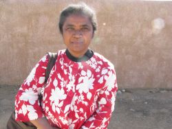 Mamy Rakotondrainibe, Collectif pour la Défense des terres malgaches