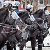 Riot Police on horses are called in the during Montreal's 18th annual Protest against Police Brutality.