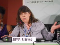Ribeiro: Inclusion of soil, agriculture in carbon markets would be devastating